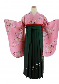 卒業式袴レンタルNo.618[Lサイズ][王道古典]ピンク・雪輪・八重桜