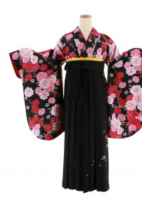 卒業式袴レンタルNo.631[ガーリー]黒・赤ピンク・マーガレット八重桜