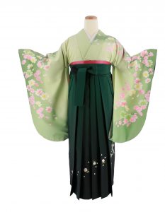 黄緑から緑のぼかしにピンクのコスモスが可愛らしい卒業式用きもの。袴は深緑のグラデーションに白い桜が刺繍されている