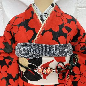 黒地に赤の桜柄の振袖の衿元周辺。帯や半襟、帯揚げ帯締め重ね衿がよくわかる写真