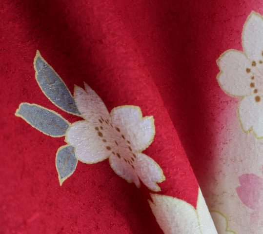 成人式振袖[レトロシンプル][古典]赤に白の桜[身長170cmまで]No.580