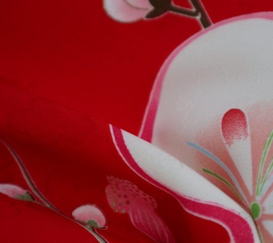 お宮参りの女の子用初着・産着 | 赤地に桜と梅No.30