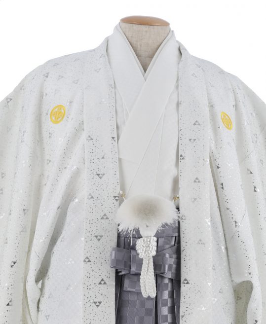 紋付袴レンタル・成人式・結婚式・卒業式|白色　市松模様[身長180cm対応]No.162