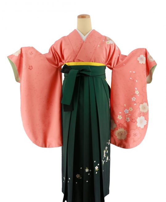 卒業式袴レンタルno 503 シンプル オレンジ 白桜 着物レンタルのkanemata カネマタ